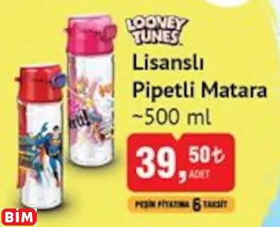 LİSANSLI PİPETLİ MATARA ~500 ML